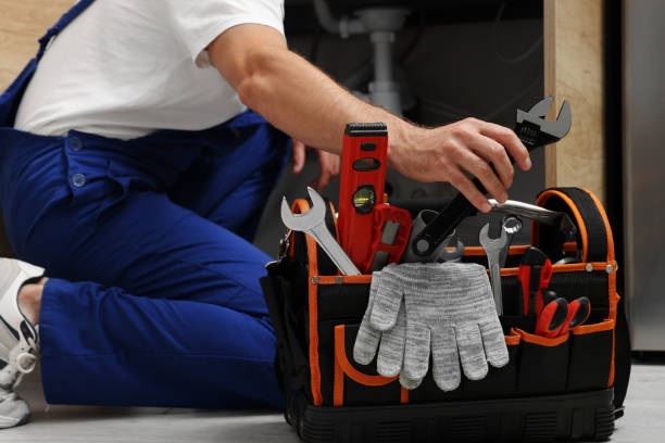 Best Plumbing Inspection Services  in Pierre Part, LA